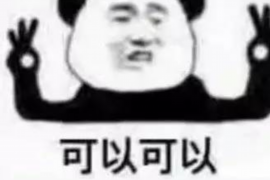 昌邑要账公司更多成功案例详情